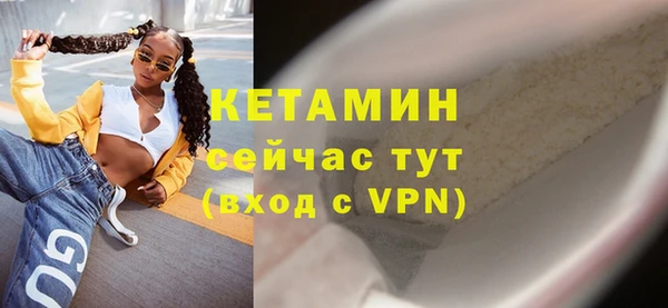 сатива Коряжма