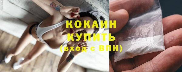 сатива Коряжма