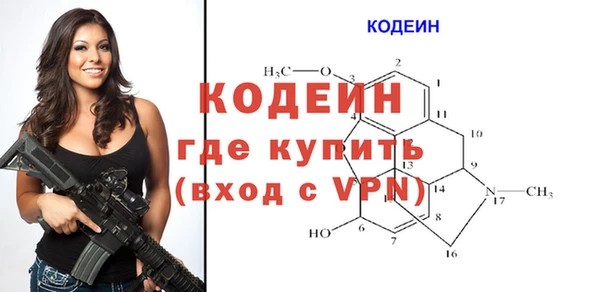 сатива Коряжма