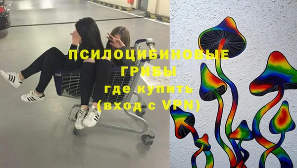 сатива Коряжма