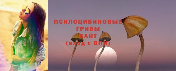 герыч Корсаков