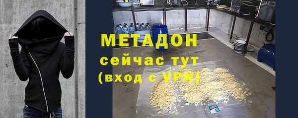 сатива Коряжма