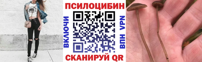 Галлюциногенные грибы ЛСД Аткарск